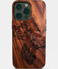 Anatomical Heart and Bonsai Tree iPhone Cases - Wood Earth and Heart iPhone 16 Cases