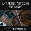Best Custom Vinyl Record iPhone 13 Series Cases - Custom Song Gift For Vinyl Collectors | 7" EP - Engraved In Nature